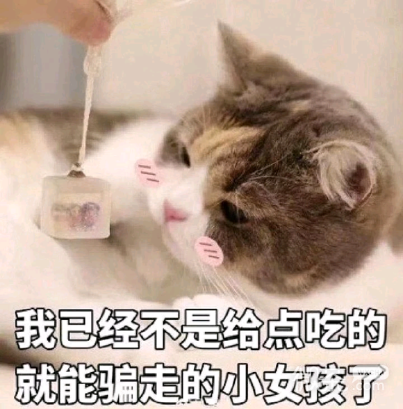 微信甜甜的可爱斗图表情包