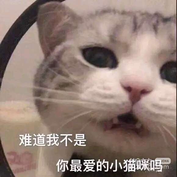 微信甜甜的可爱斗图表情包