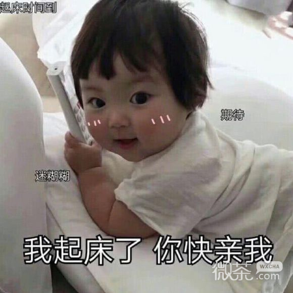 微信甜甜的可爱斗图表情包