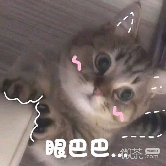 微信甜甜的可爱斗图表情包