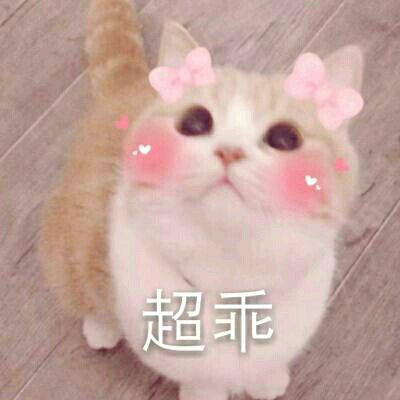 萌新三连微信恶搞傻屌斗图表情包