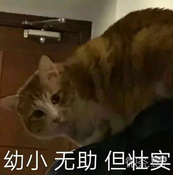 仰望大佬微信恶搞傻屌斗图表情包