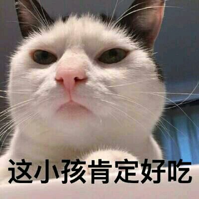 心态炸了微信恶搞斗图表情包