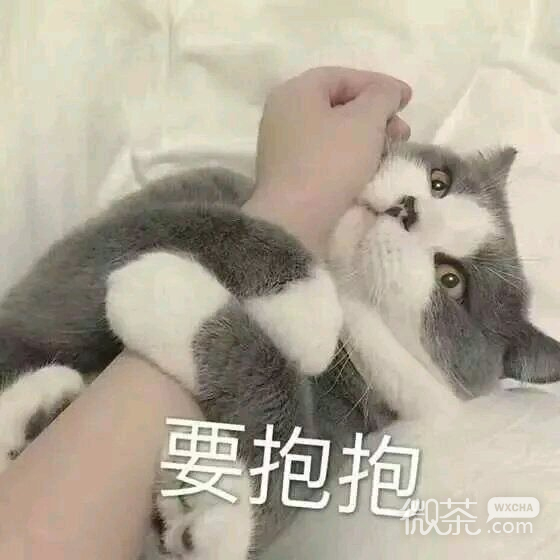 心态炸了微信恶搞斗图表情包