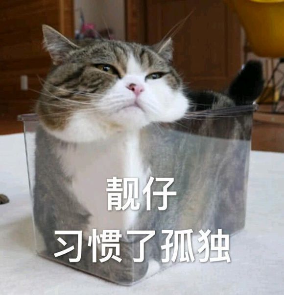 习惯孤独微信恶搞傻屌逗比表情包