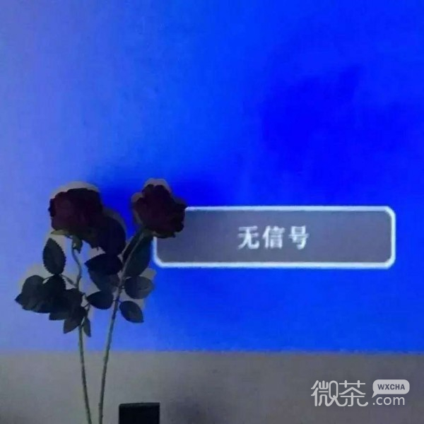 微信冷色调朋友圈配图