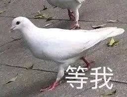 等我微信恶搞傻屌斗图表情包