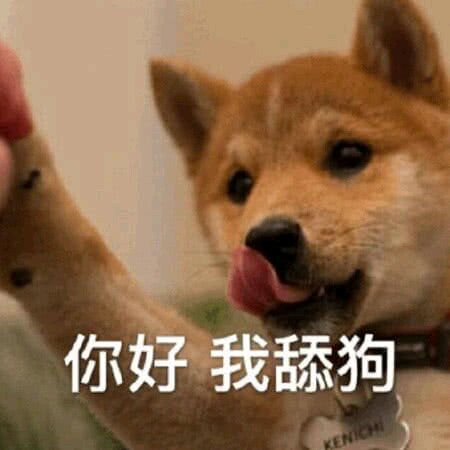 习惯孤独微信恶搞傻屌逗比表情包