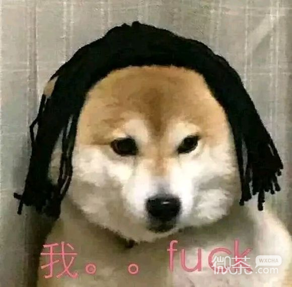 等我微信恶搞傻屌斗图表情包