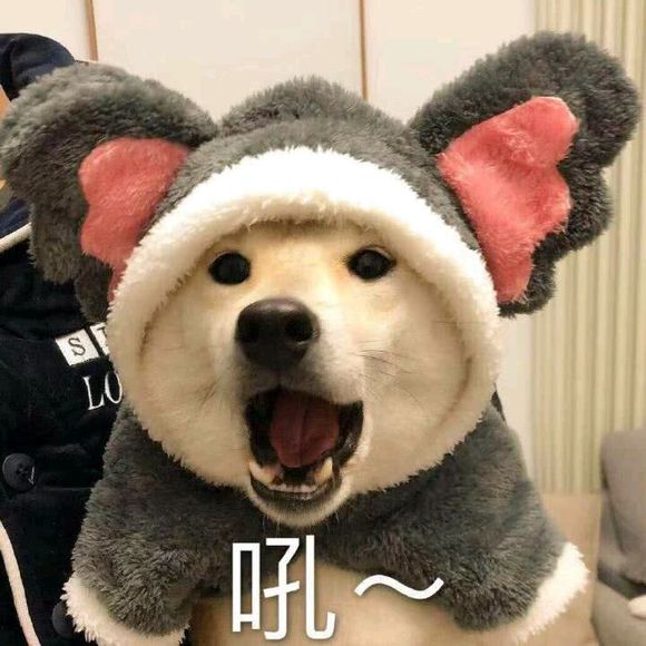 习惯孤独微信恶搞傻屌逗比表情包