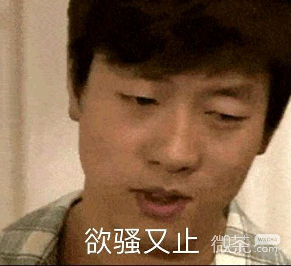 太过分了微信恶搞傻屌斗图表情包