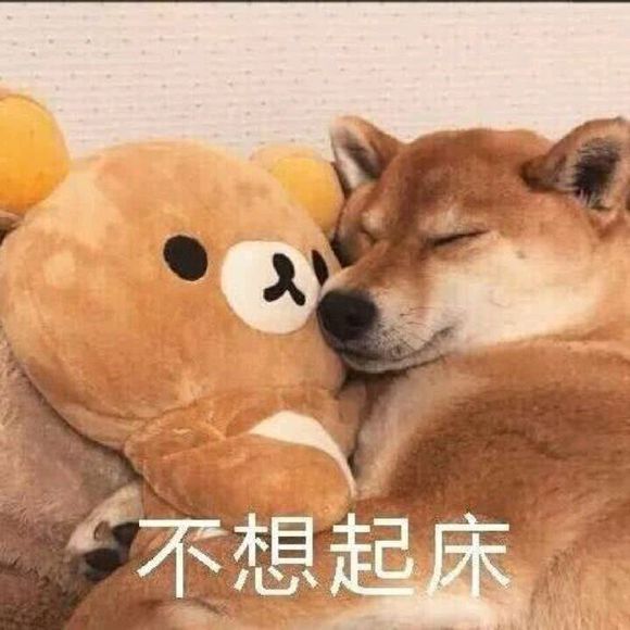 习惯孤独微信恶搞傻屌逗比表情包