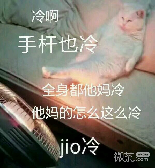 萌萌哒搞怪喵星人斗图微信表情包