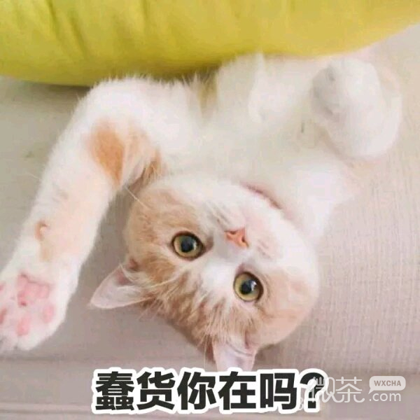 调侃笑死了斗图微信表情包