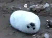 你放屁微信恶搞傻屌斗图表情包