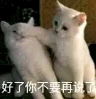 傻屌群聊杂图斗图微信表情包
