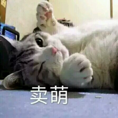 无辜微信可爱到爆喵星人表情包