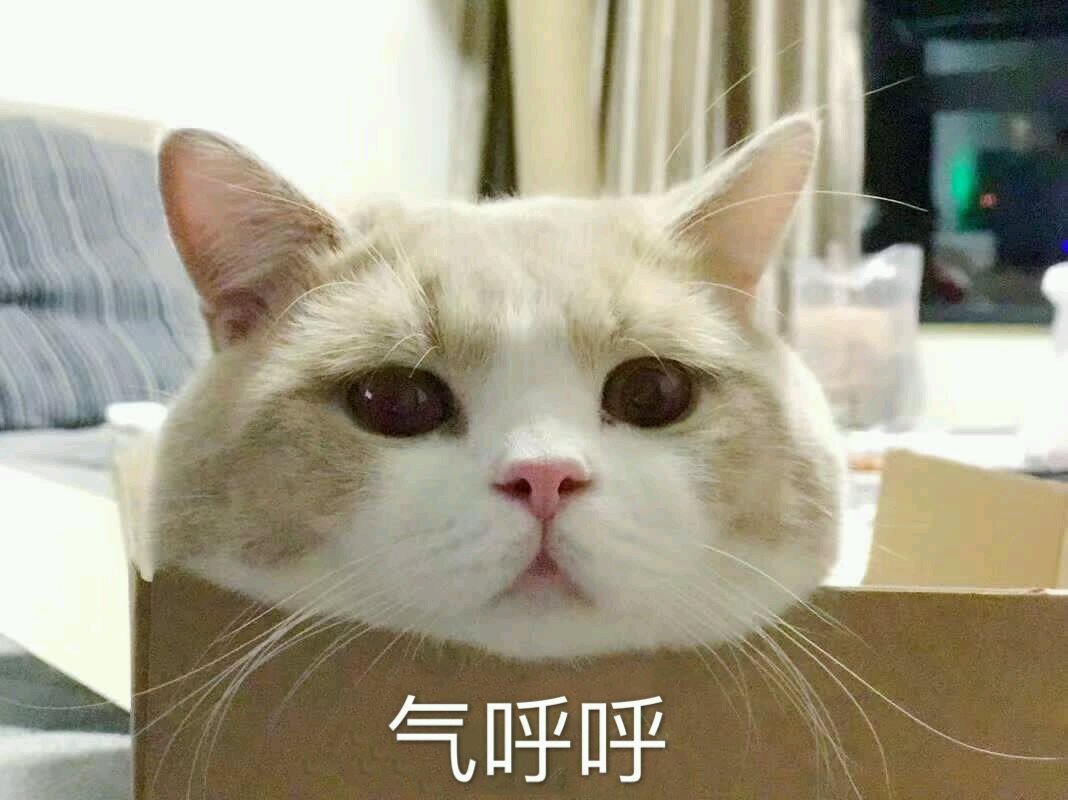 无辜微信可爱到爆喵星人表情包