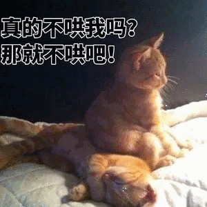 微信笑死了搞怪蠢萌喵星人斗图表情包