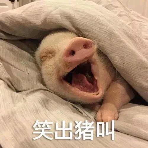 微信近期斗图恶搞表情包2019/3/22（二）