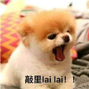 微信近期斗图恶搞表情包2019/3/22（二）