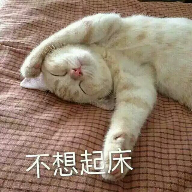 无辜微信可爱到爆喵星人表情包