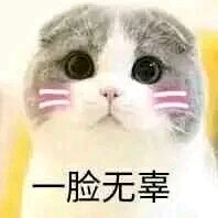 傻屌群聊杂图斗图微信表情包