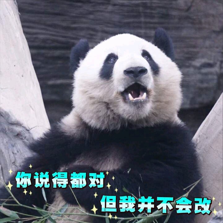 微信近期斗图恶搞表情包2019/3/22（二）