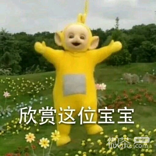 傻屌群聊杂图斗图微信表情包