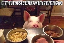 微信近期斗图恶搞表情包2019/3/22