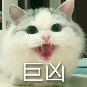 微信笑死了萌宠喵星人表情包