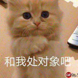 微信笑死了萌宠喵星人表情包