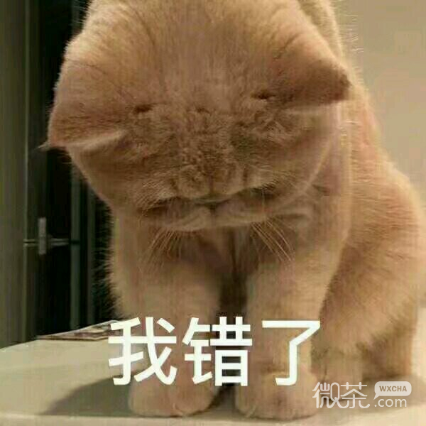 萌萌哒搞怪喵星人斗图微信表情包