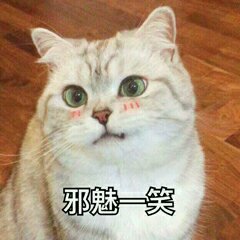 萌萌哒搞怪喵星人斗图微信表情包