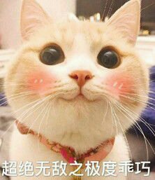 萌萌哒搞怪喵星人斗图微信表情包