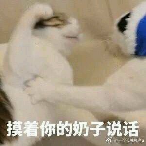 微信笑死了搞怪蠢萌喵星人斗图表情包