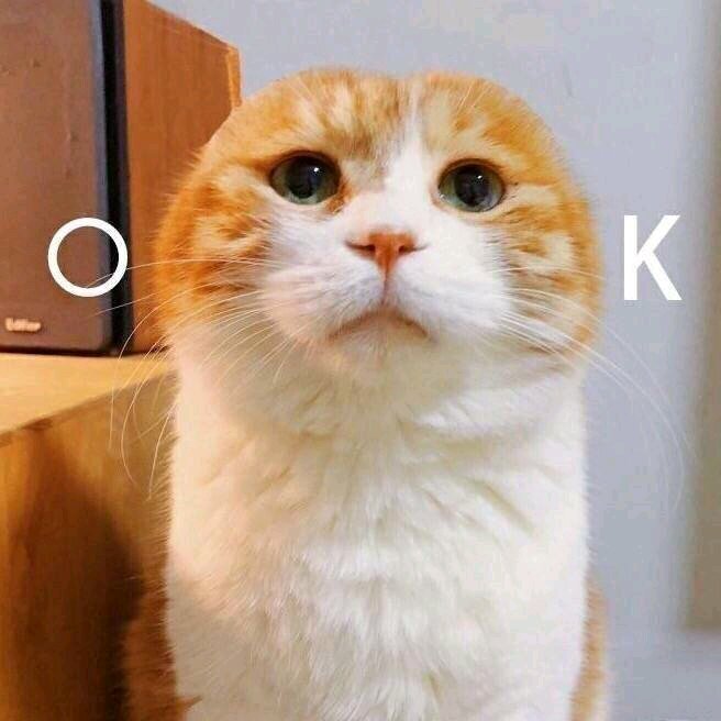 你放屁微信恶搞傻屌斗图表情包