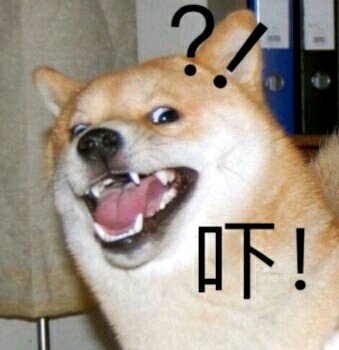 微信近期斗图恶搞表情包2019/3/22（二）