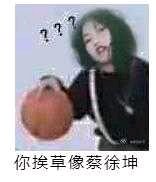 微信近期斗图恶搞表情包2019/3/22（二）