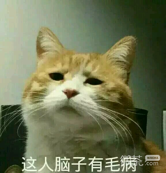 微信笑死了搞怪蠢萌喵星人斗图表情包