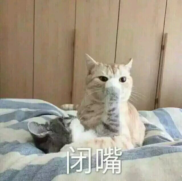 无辜微信可爱到爆喵星人表情包