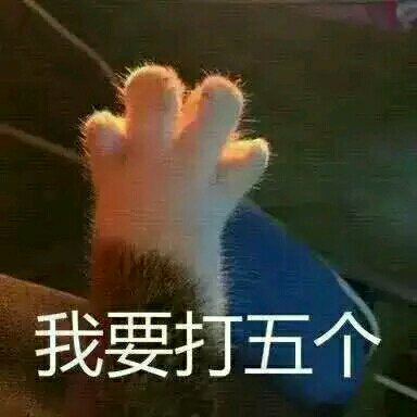 无辜微信可爱到爆喵星人表情包