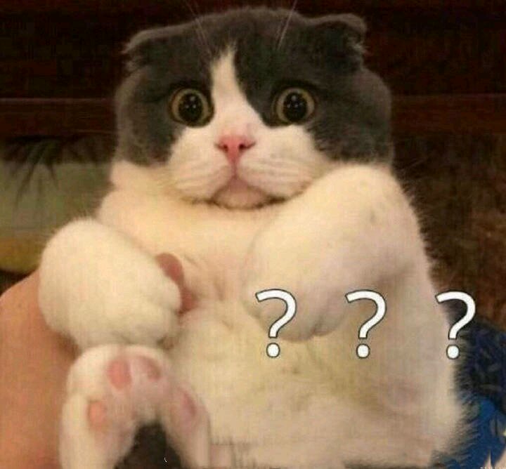 微信近期斗图恶搞表情包2019/3/22（二）