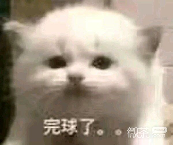 傻屌群聊杂图斗图微信表情包