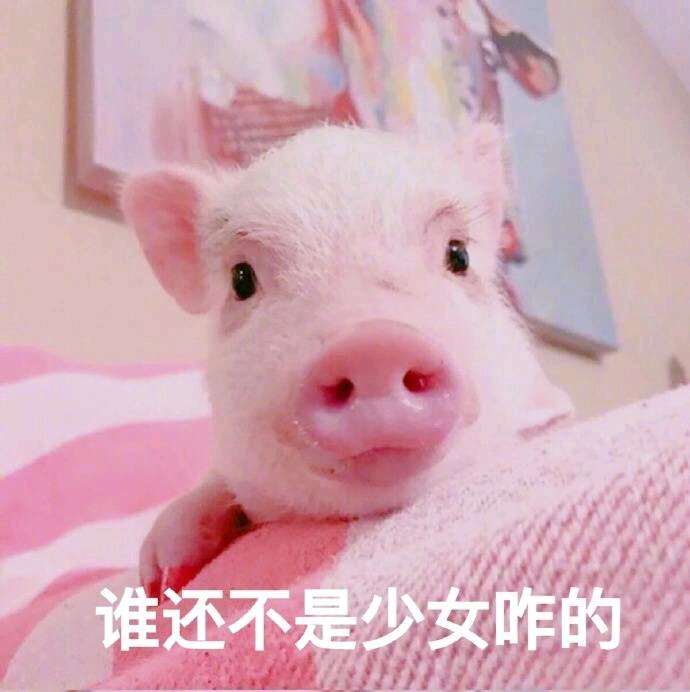 你放屁微信恶搞傻屌斗图表情包