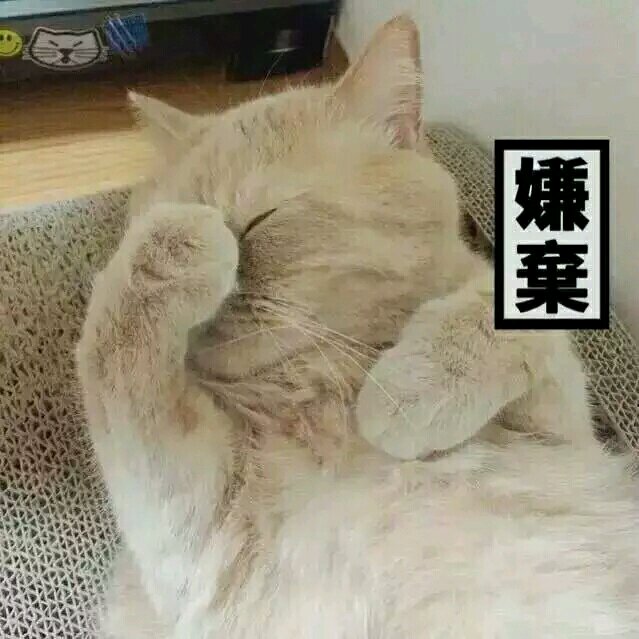 无辜微信可爱到爆喵星人表情包