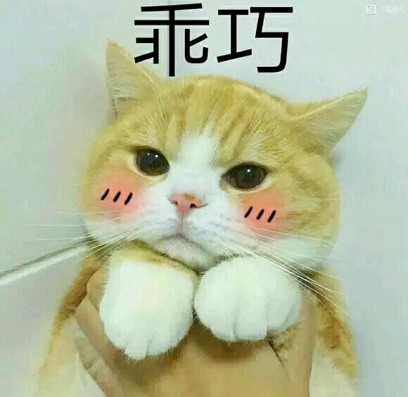 无辜微信可爱到爆喵星人表情包
