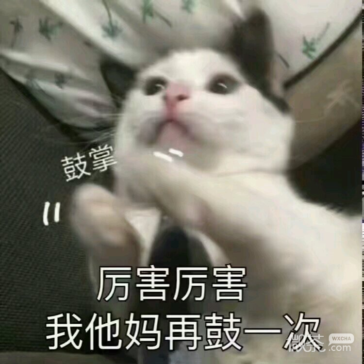 萌萌哒搞怪喵星人斗图微信表情包