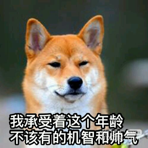 呸微信恶搞傻屌斗图表情包