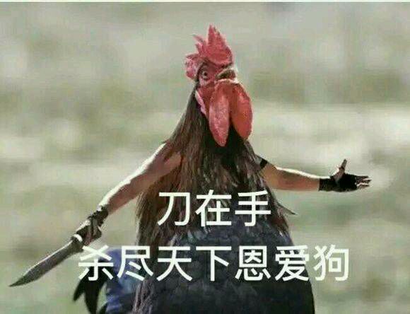 不约微信恶搞傻屌斗图表情包